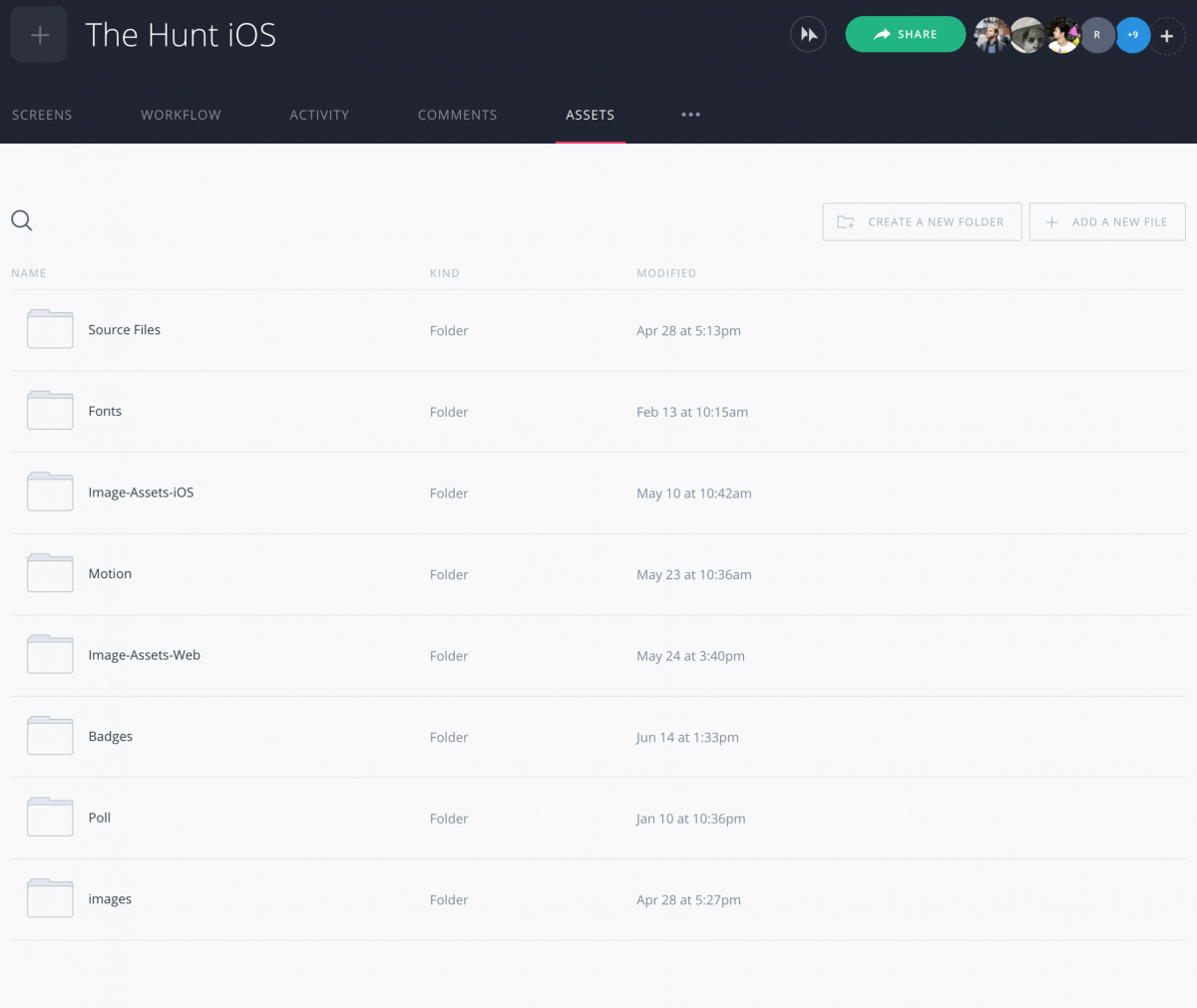Invision Assets