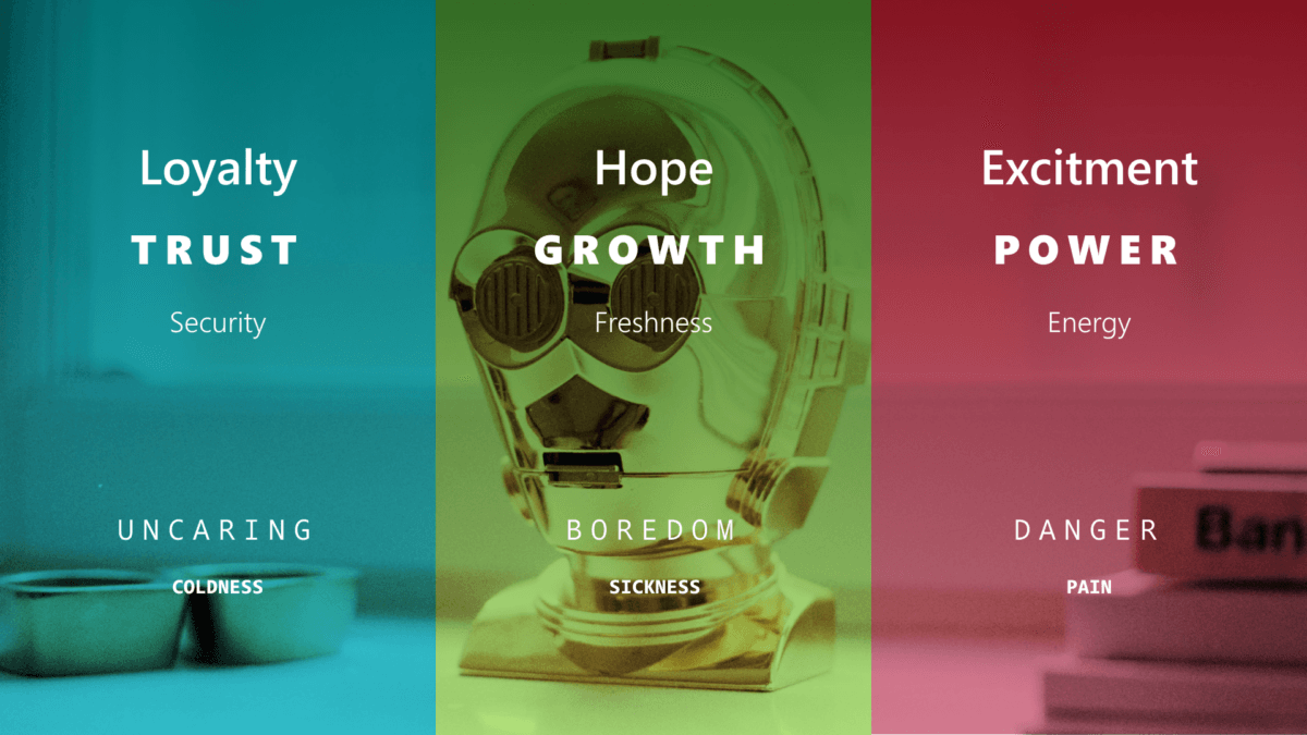 Branding slide 9
